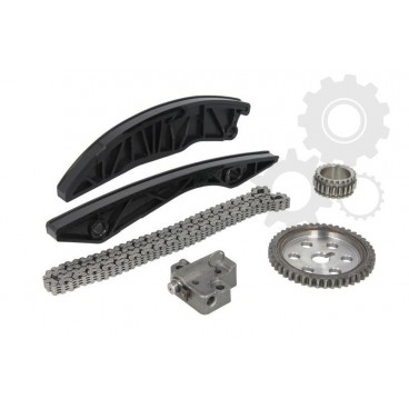 Kit distributie (lant+intinzator)