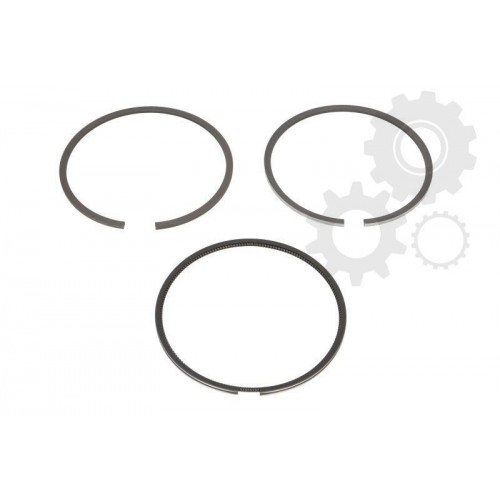 Segmenti piston