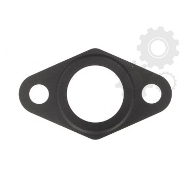 Garnitura supapa EGR