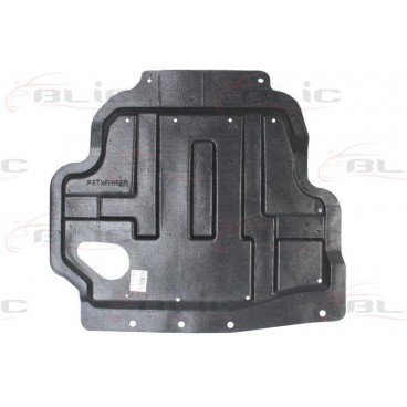 Scut motor/cutie viteze