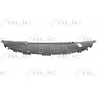 Scut motor/cutie viteze