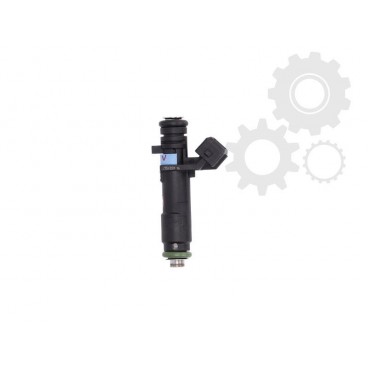 Injector combustibil