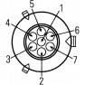 Lampa