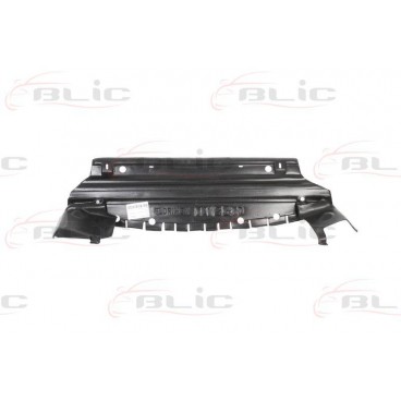 Scut motor/cutie viteze