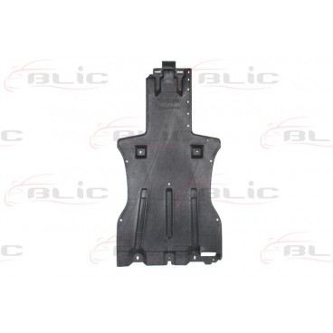 Scut motor/cutie viteze