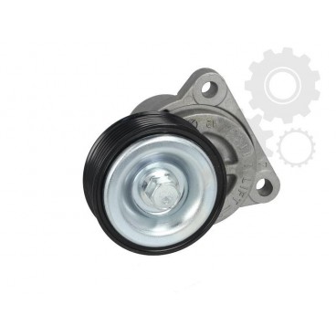 Intinzator curea