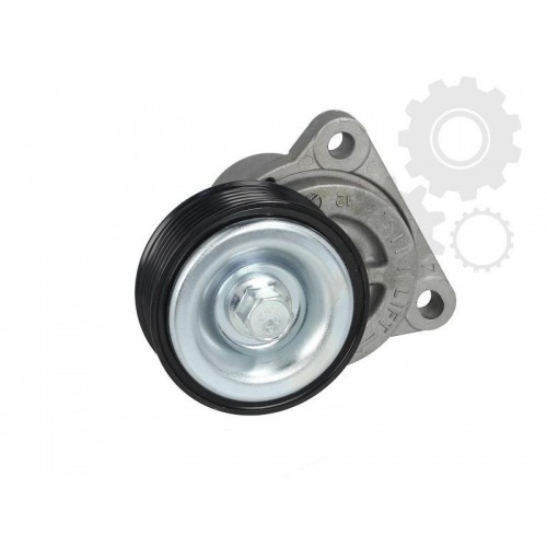Intinzator curea