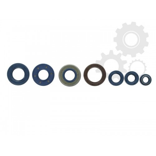 Set garnituri motor