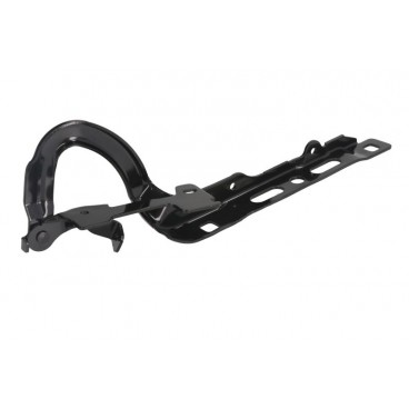 Elemente capota motor