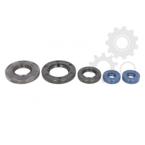 Set garnituri motor