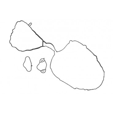 Set garnituri supape