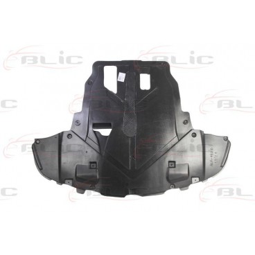 Scut motor/cutie viteze