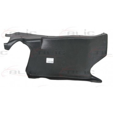 Scut motor/cutie viteze