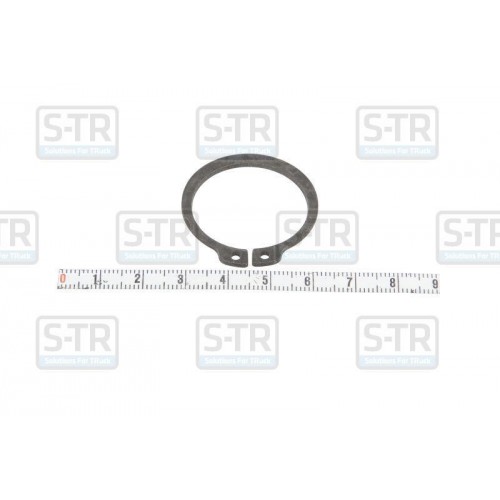 Outer Seeger rings