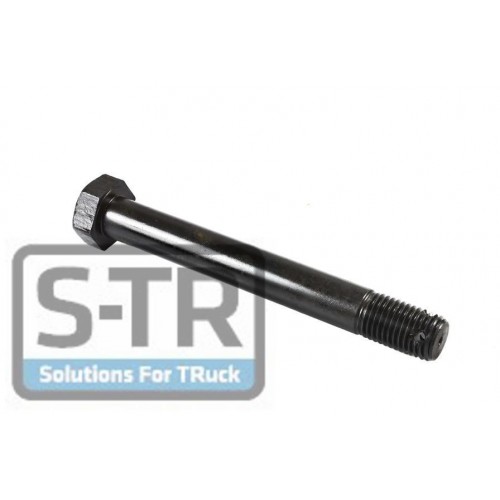 Leaf spring fixing bolt