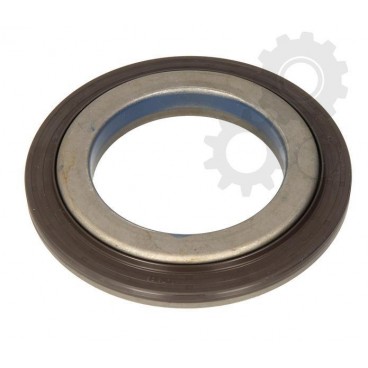 Simering ax cardanic