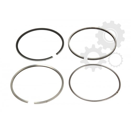 Segmenti piston