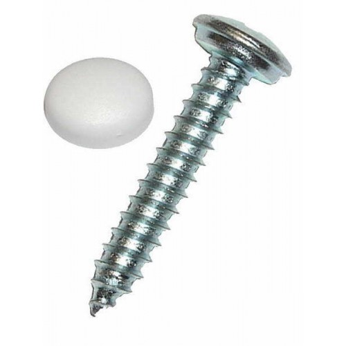 Galvanized screws