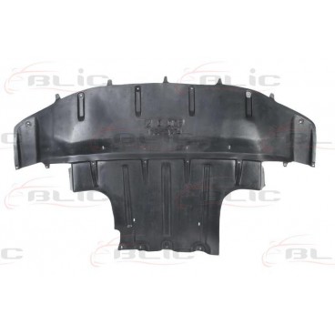 Scut motor/cutie viteze