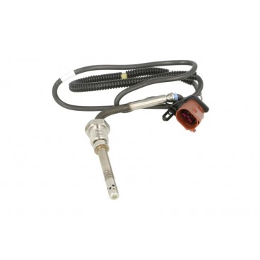 Senzor temperatura evacuare