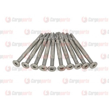 Galvanized screws