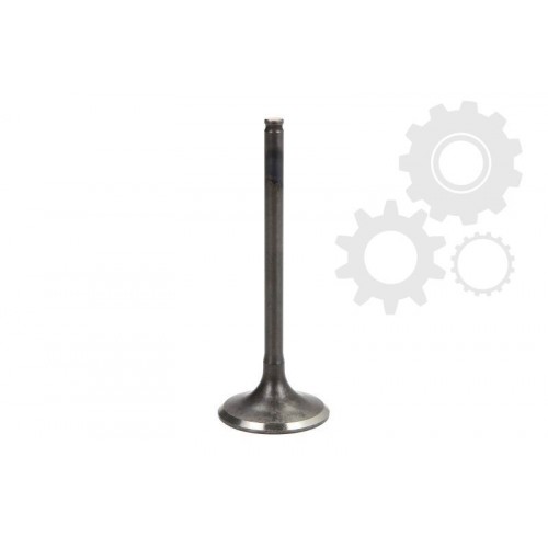 Supape/pastile reglaj Supape/pastile reglaj