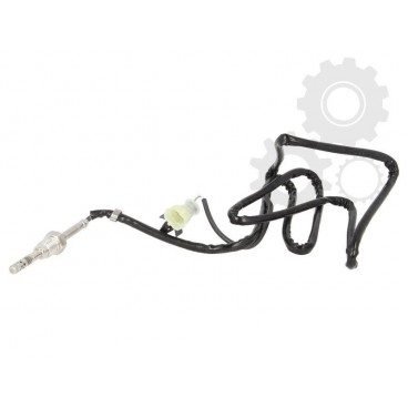 Senzor temperatura evacuare