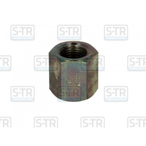 Leaf spring fixing nut