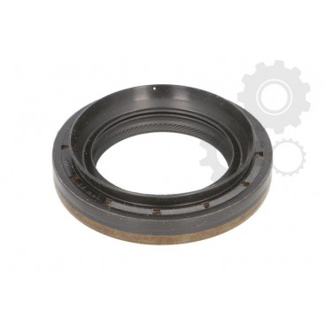 Simering ax cardanic