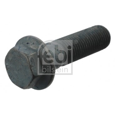 Raw Hex bolts