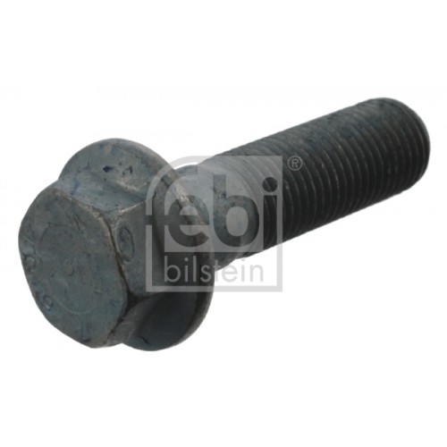 Raw Hex bolts