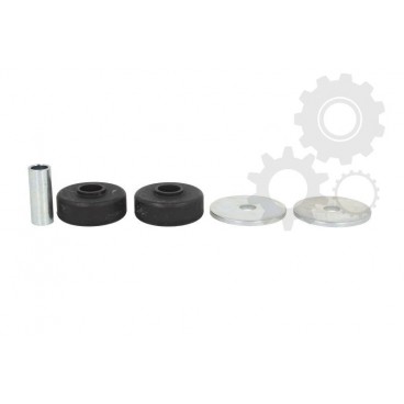 Amortizor suspensie Mc Pherson