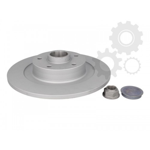 Brake disk with bearing