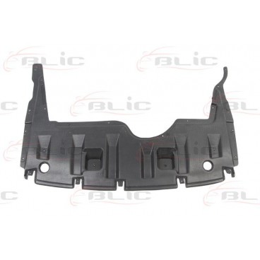 Scut motor/cutie viteze