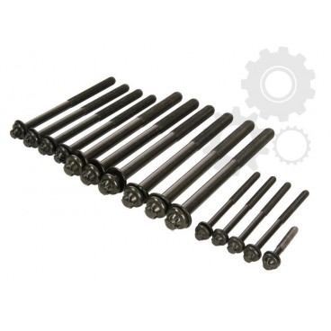 Set bolturi chiulasa