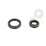 Crankshaft oil seals