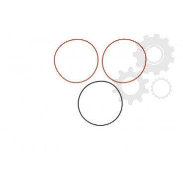 Set garnituri cilindru