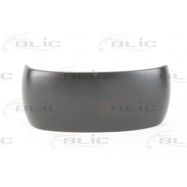 Carcasa oglinda retrovizoare