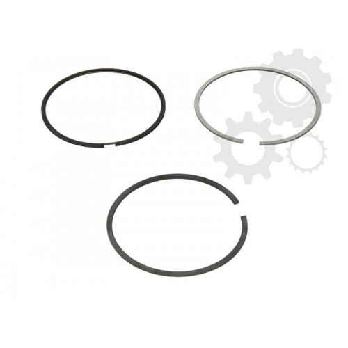 Segmenti piston
