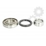 Set rulmenti roata