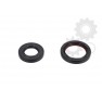 Crankshaft oil seals