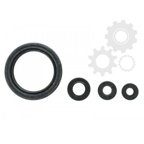 Set garnituri motor