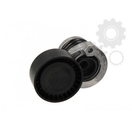 Intinzator curea