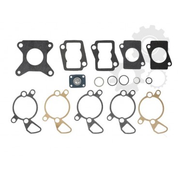 Elementele injectiei mono-punct