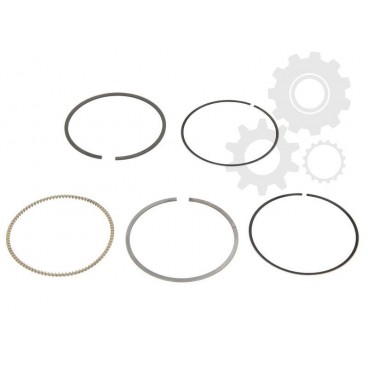 Segmenti piston