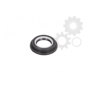 Simering/etansare caseta directie