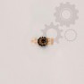 Pinion planetar diferential