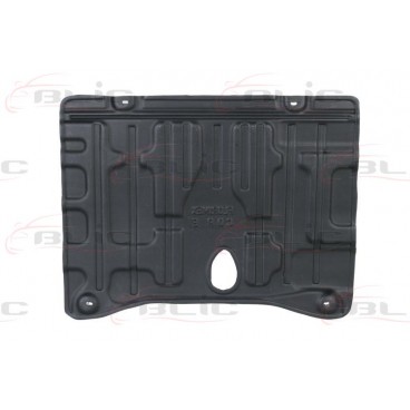 Scut motor/cutie viteze