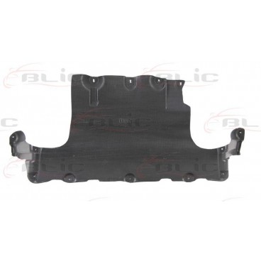 Scut motor/cutie viteze