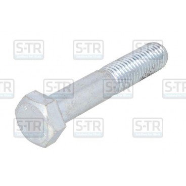 Galvanized Hex bolts